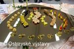 Gastro festival Ostrava
